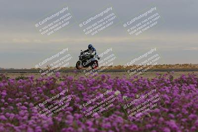 media/Jan-14-2023-SoCal Trackdays (Sat) [[497694156f]]/Turn 14 Exit Bloomig (145pm)/